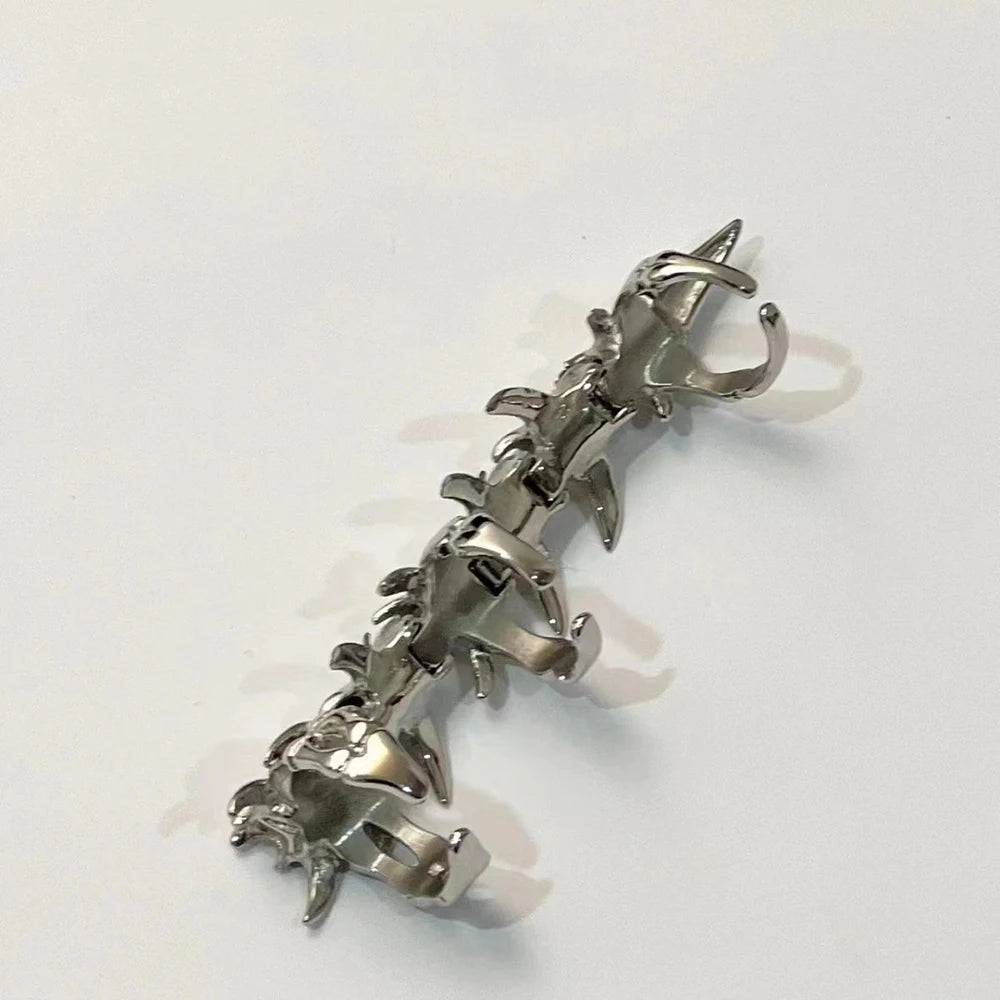 Spinal Bone Ring