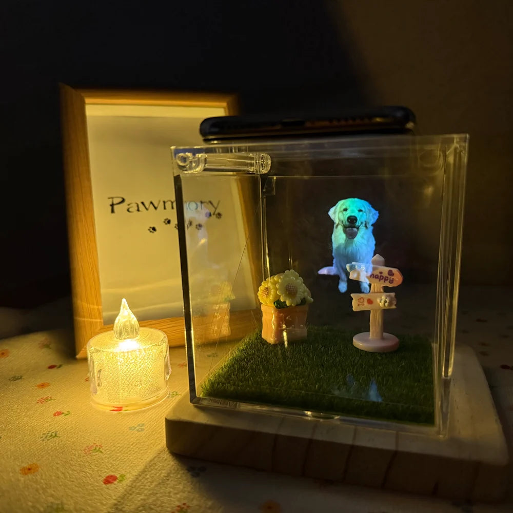 Hologram Projector