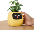 Interactive Indoor Plant