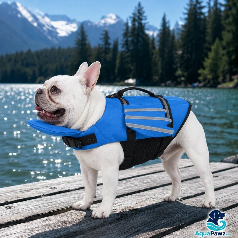 Dog Swim Jacket