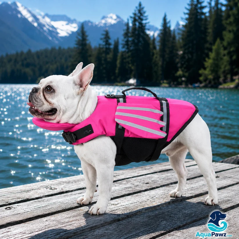 Dog Swim Jacket