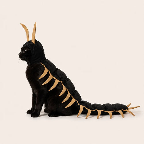 Cat Centipede Costume