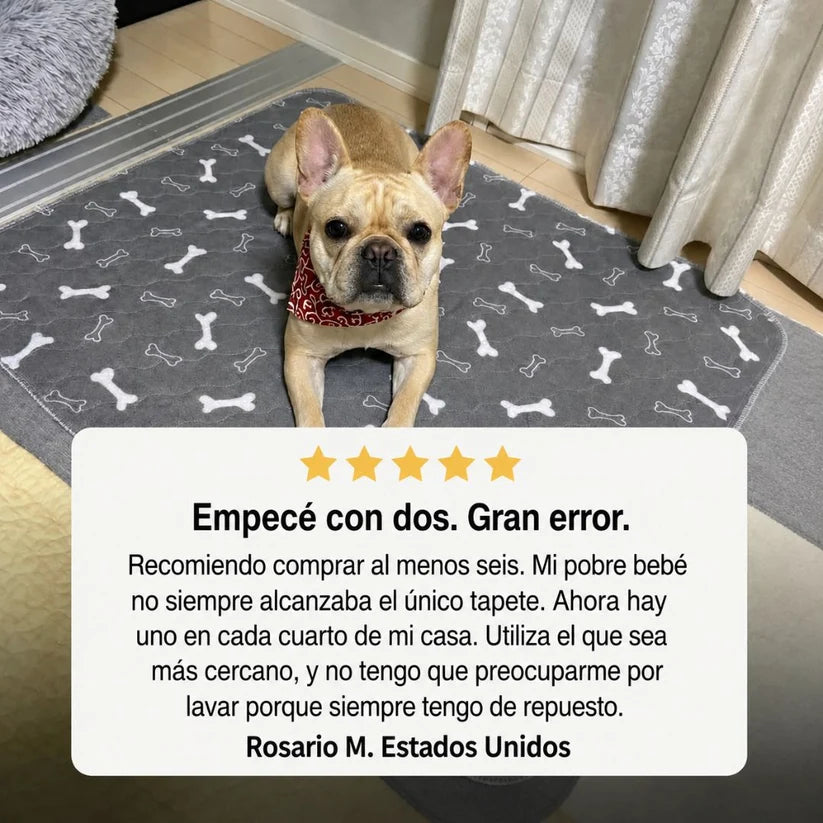 Pawra - The Last Potty Training Mat You'll Ever Buy