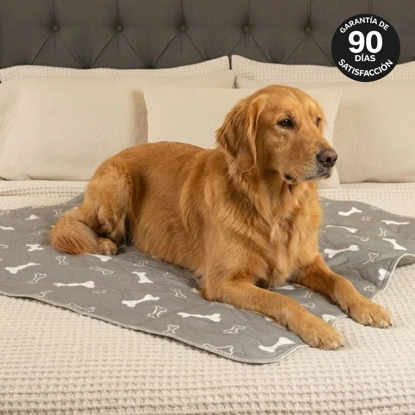 Pawra - The Last Potty Training Mat You'll Ever Buy