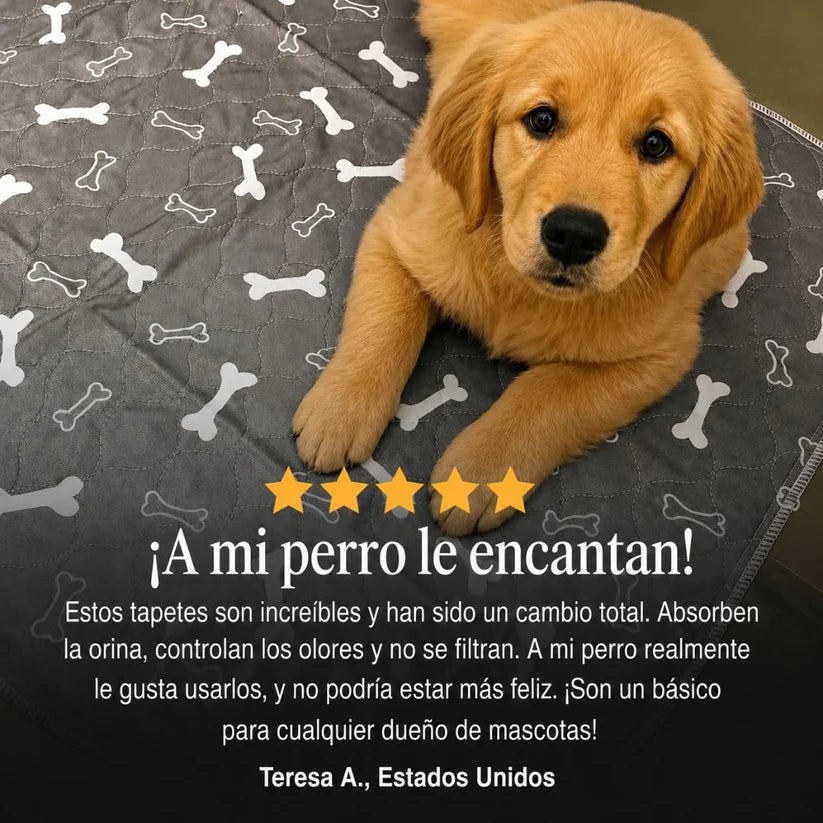 Pawra - The Last Potty Training Mat You'll Ever Buy