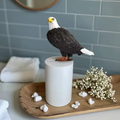 DirtyBirdy™