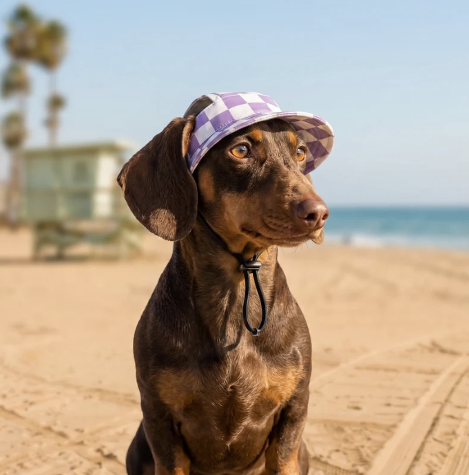 Pup Bucket Hat