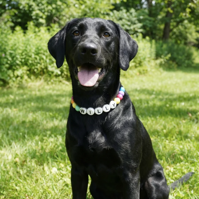 Handmade Friendship Bracelet & Collar