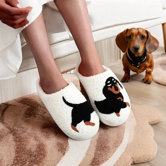 DachSlides