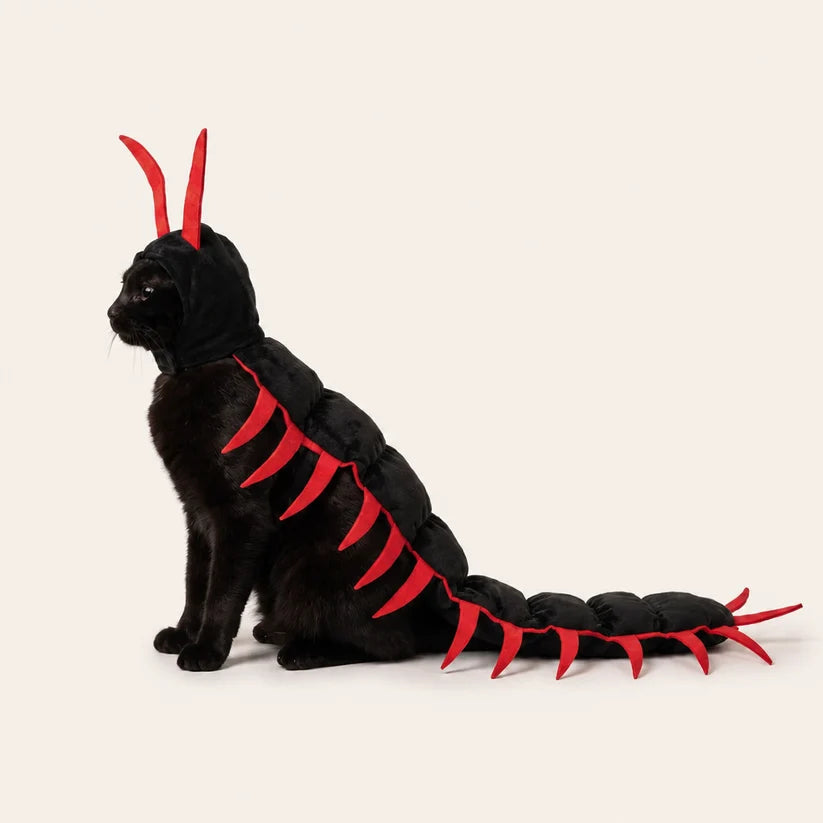 Cat Centipede Costume