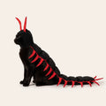Cat Centipede Costume