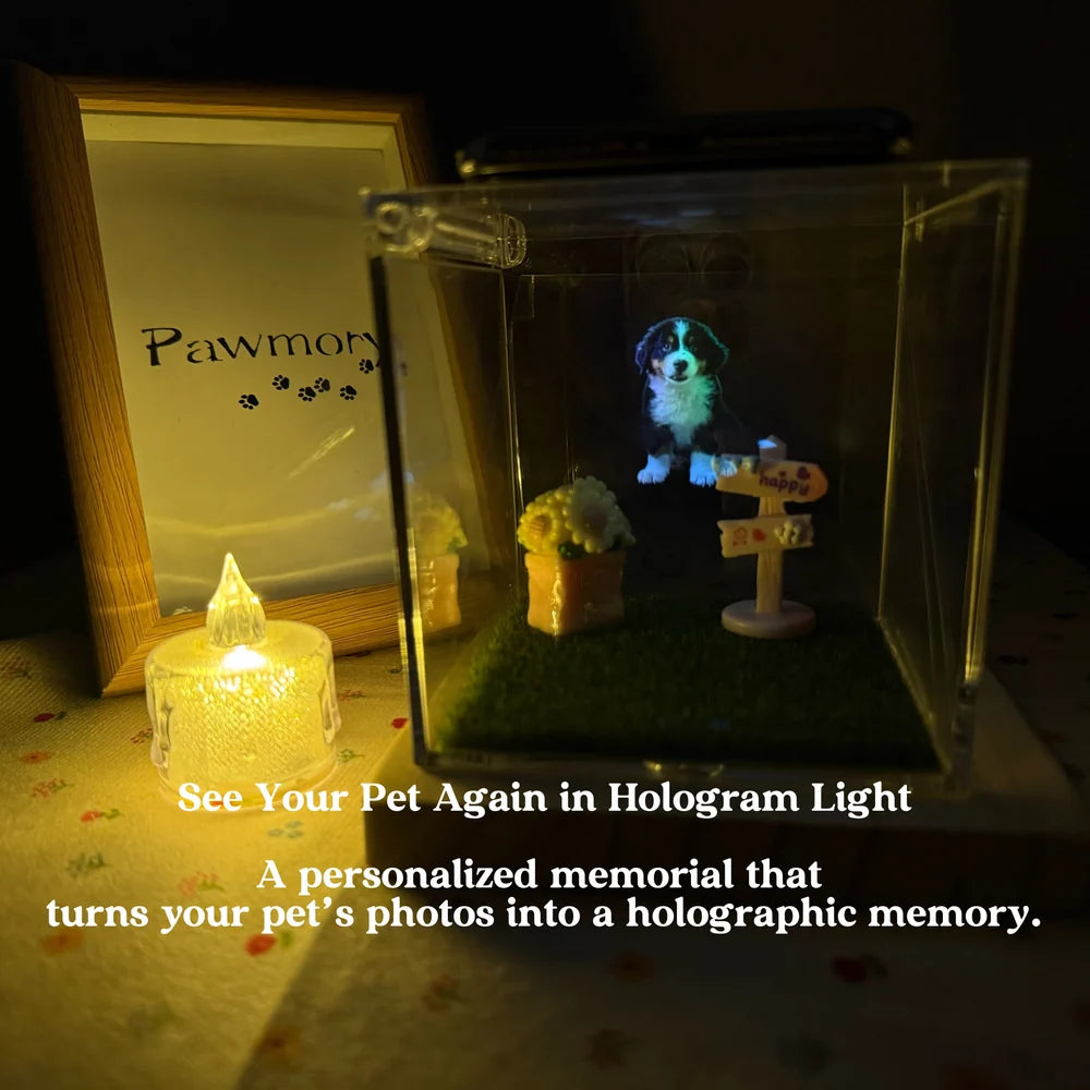 Hologram Projector